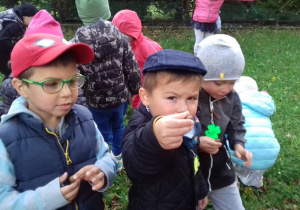 I żołędzie.