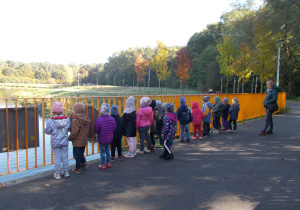 Oglądamy, co robią kaczki.