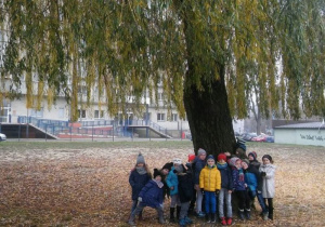 Mróweczki w plenerze.