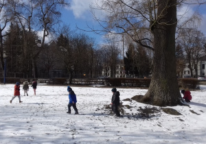 Znowu spadł śnieg.