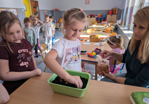 A my ją sadziliśmy.
