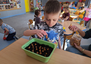 A my będziemy go podgryzać.