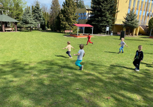 I zaczęliśmy poszukiwania niespodzianki od Zajączka