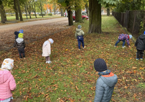 Jesienne odkrycia naszych przedszkolaków