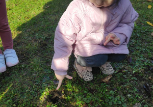 Zuzia B. pokazała gdzie zasadziła swoją cebulkę.