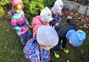 Było dużo dziurek i cebulek więc, dzieci dalej bawiły się w ogrodników.
