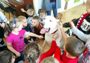 Zeus jest bardzo przyjazny dzieciom
