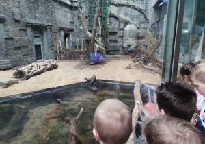 Widzimy w wodzie zabawne wydry
