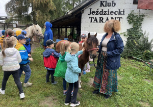 Głaskaliśmy konie.