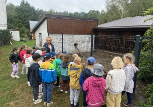 Karmiliśmy kury.