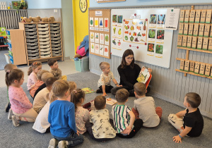Zdjęcie 14 na 21