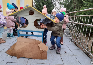 A mróz daje się ptakom we znaki.