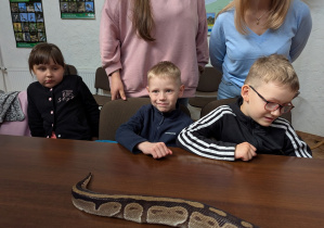 Mogliśmy go oglądać i dotykać.