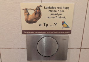 Edukacyjnie jest nawet w toalecie.