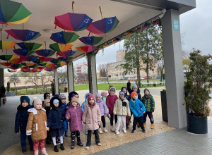 Młode Horyzonty 2025/2026 - Żabki